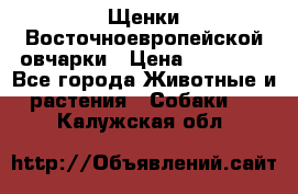 Щенки Восточноевропейской овчарки › Цена ­ 25 000 - Все города Животные и растения » Собаки   . Калужская обл.